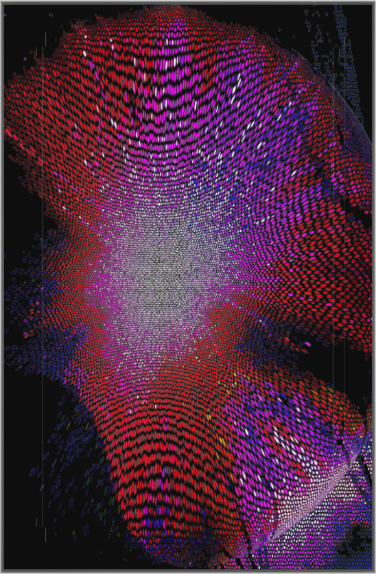 abstract limited edition print featuring intricate rippling neural-like patterns in deep crimson, violet and electric purple with iridescent highlights on a dark background, by Gallery 68